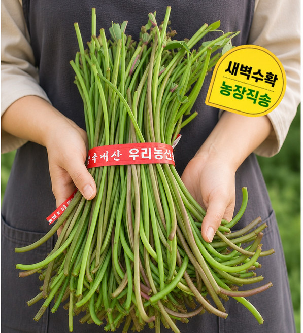 고구마줄기 완벽 가이드 — 선택 방법부터 주의사항까지