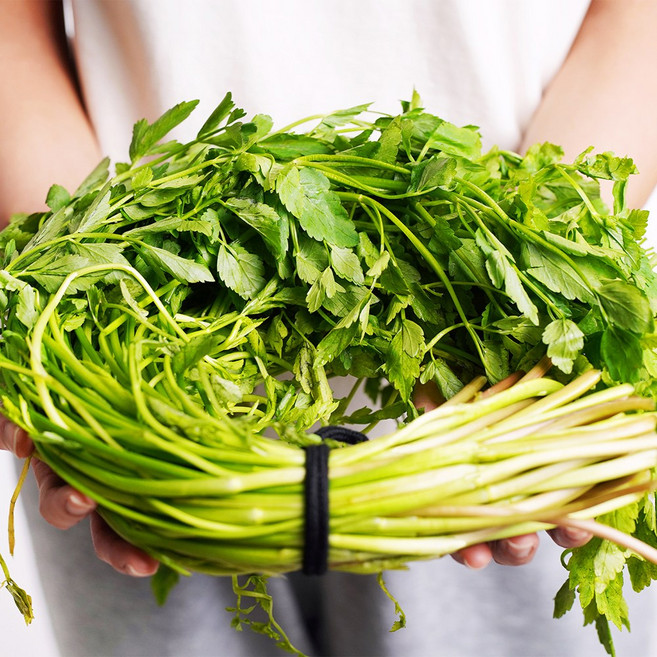 전라도청녀 프레시 국내산 미나리, 4kg, 1개