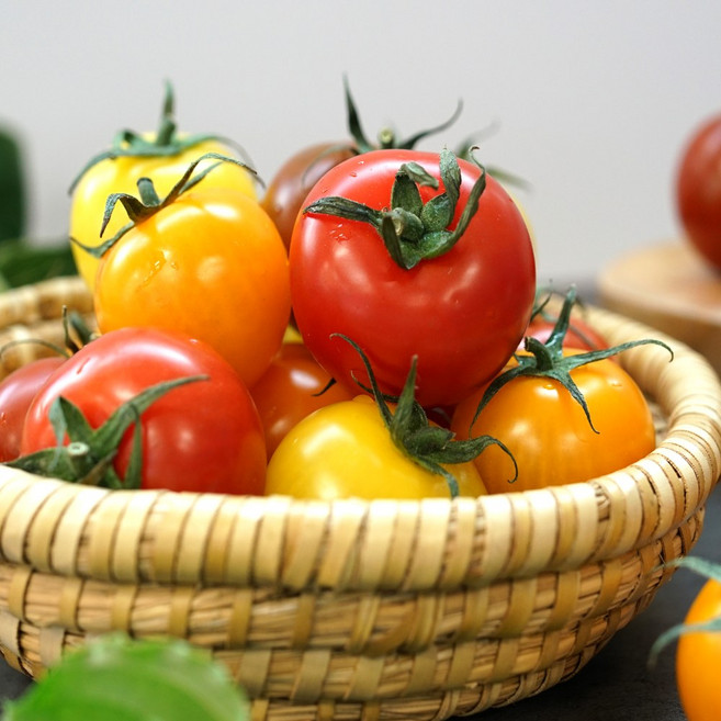 알록달록 오색 칵테일 토마토 송이토마토, 1개, 1kg