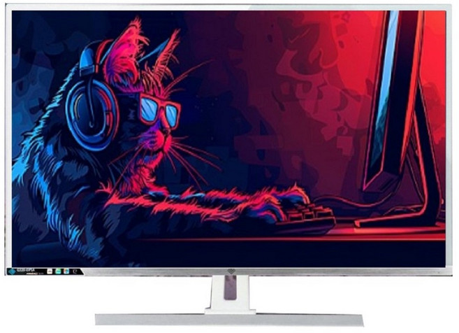 PC방 32인치 게이밍 모니터 144HZ 165HZ 평면 배그전용게임특화 중고, 80.1cm