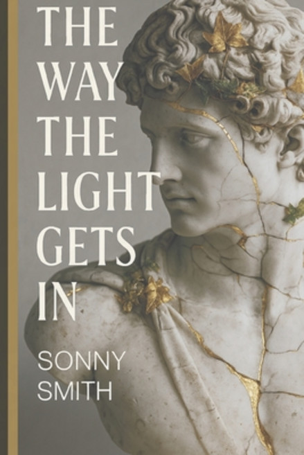 (영문도서)The Way the Light Gets In: A Guide to Coming Back When Life Breaks You Down Paperback, Independently Published, English, 9798289687678
