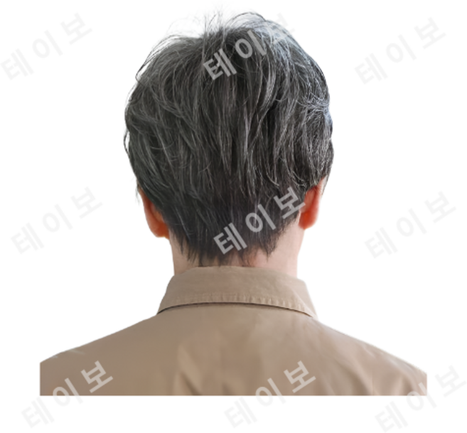 흰머리 통가발 할아버지 머리 남성 가발 백발 무대 연출 가발 8화이트 2블랙 1개