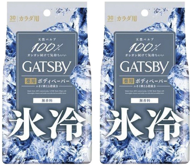 갸스비 바디 페이퍼 아이스 30개입, 2개