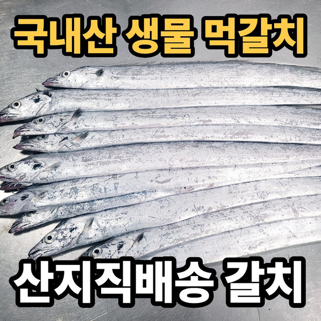 목포 생물 먹갈치 국내산 산지직송 갈치, 1박스, 3kg(14~15미)