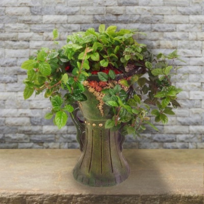 태양플라워 전국 꽃배달 산호수 개업식 축하 정화 관엽 고급 화분 집들이 인테리어 개업 천연 공기청정, 1개