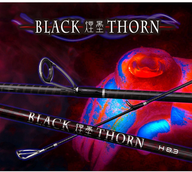 DK 漁鄉 釣研工坊 BLACK THORN 煙墨 軟絲竿 木蝦 餌木 墨魚 釣竿 路亞竿, 8.3,MH