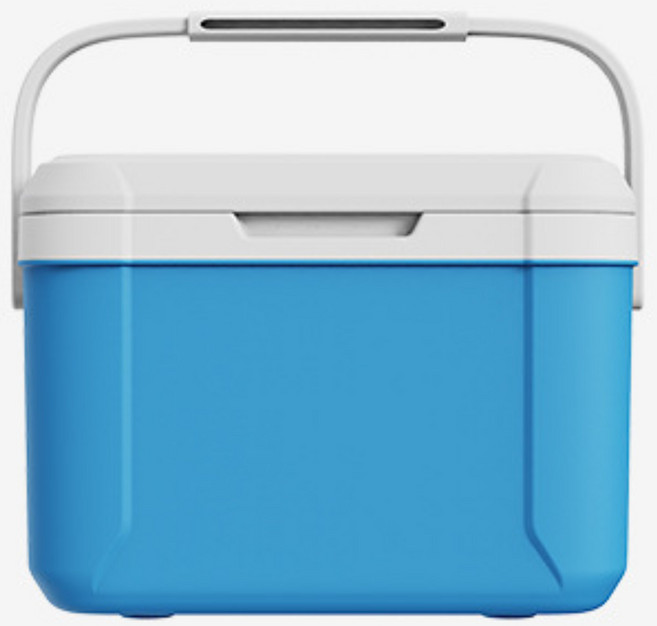 미니 아이스박스 캠핑 보냉박스 피크닉 쿨러박스 차량용 보냉가방, 5.5L, 블루