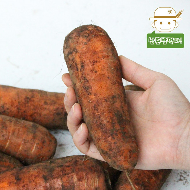 [삼촌농장] 올해 갓 수확한 제주 햇당근 흙당근(특) 3kg 5kg 10kg, 1개