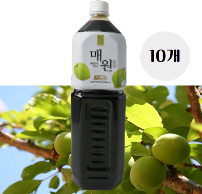보해 매원 프리미엄 매실 엑기스 원액, 10개, 1.5L