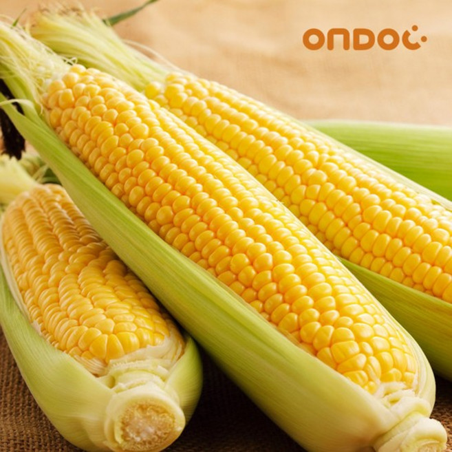 고당도 햇 초당옥수수 대과 5개입 (14cm이상), 1개