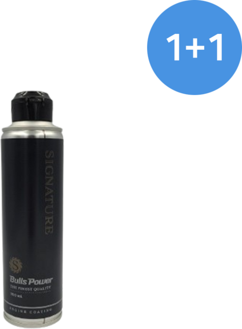 [1+1이벤트][불스원] 불스파워 엔진코팅제 엔진오일첨가제 시그니처 300ml, 모든 연료 유형, 1세트
