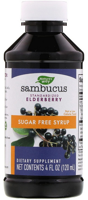 네이쳐스웨이 삼부커스 엘더베리 시럽, 120ml, 1개