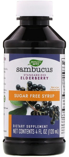 네이쳐스웨이 삼부커스 엘더베리 시럽, 120ml, 1개 - 쿠팡