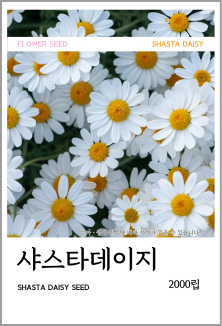 샤스타데이지 씨앗 2000립(코팅 종자 8g), 1개