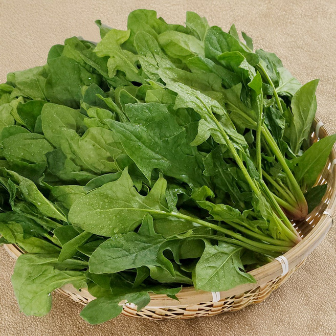 싱싱냠냠 직접선별 국내산 노지 햇 시금치, 1박스, 4kg