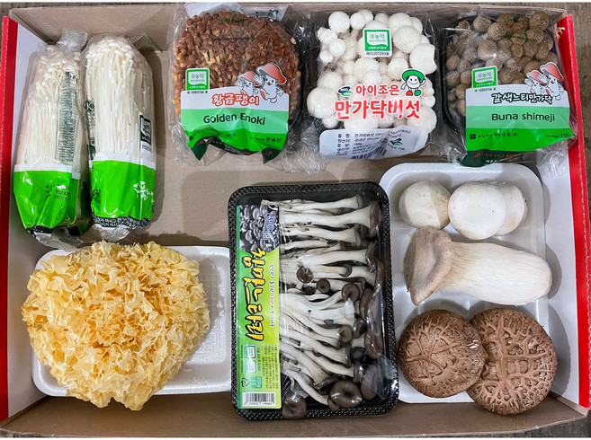 버섯 전골 세트 9종, 1개, 2kg