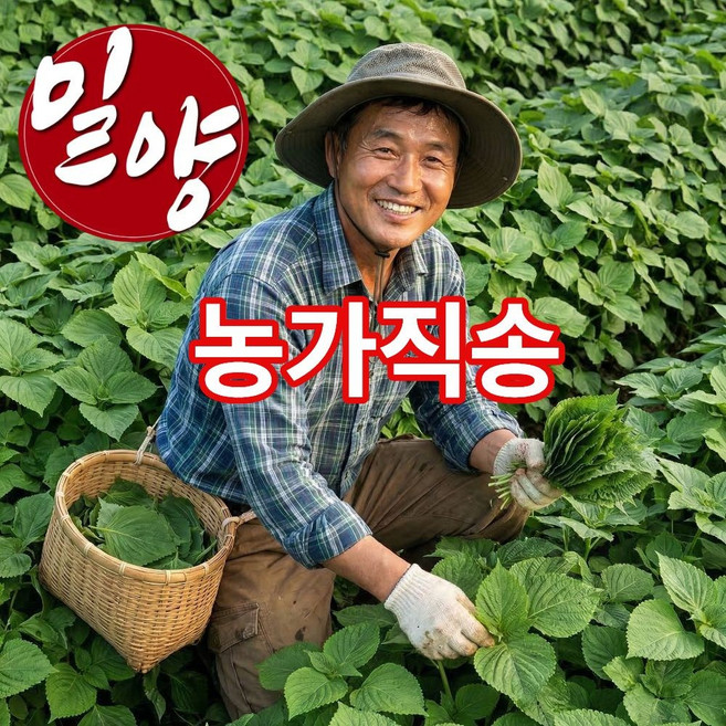 더맛곳간 국산 밀양 깻잎 찹찹이 아침수확 노지 국내산 업소용 대용량, 1개, 1kg