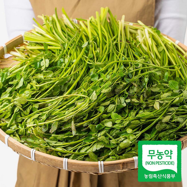 [산지보장] 청도 무농약 선별 한재 미나리, 500g, 1개