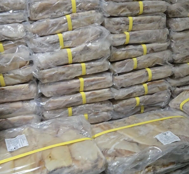 중국할복오징어 냉동오징어 업송용, 1박스, 5kg