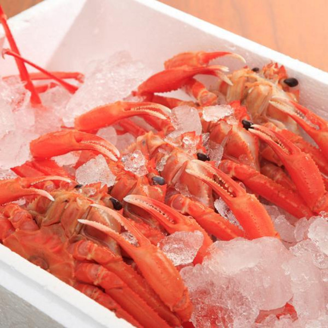 울진 후포항 붉은대게3kg(11미내외), 1개