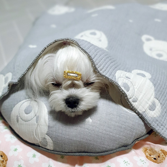 해피앤퍼피 시원한 강아지이불 20가지 디자인 강아지 고양이 여름 인견블랭킷 오가닉블랭킷 낮잠이불 담요, 푸푸그레이(4중거즈)