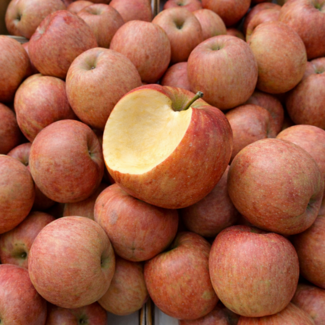 [마트납품용] 새콤달콤 경북사과 1등농가 선별, 1박스, 2kg