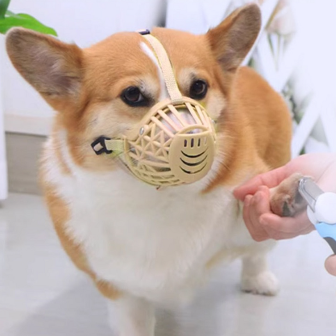 큰나무 강아지 입마개 훈련 오식 입질 방지 S~L사이즈, 1개, L 살색