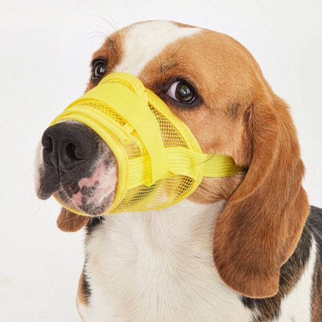 편한집 강아지 산책용 입마개 진돗개입마개 애견마스크 강아지입마개, 오렌지 M, 1개, 오렌지M