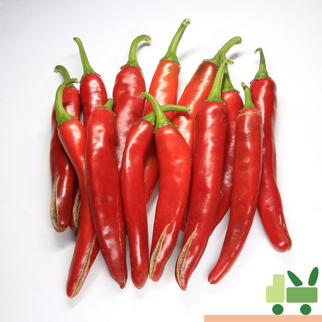 사라상회 홍고추 2Kg (상), 1박스