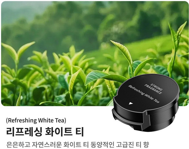 Gaayou 스마트 차량 디퓨저 리필 오일 병, 리프레싱 화이트 티, 1개