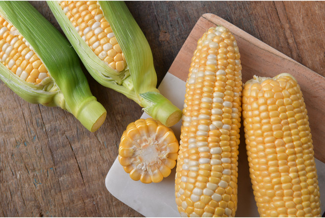 농신찬 초당옥수수 산지직송 최고당도 프리미엄 국내산 옥수수, 1박스, 15개입(특품)