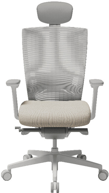 SIDIZ T50 人體工學辦公椅 電腦椅 多功能調節 舒適支撐, 白框米