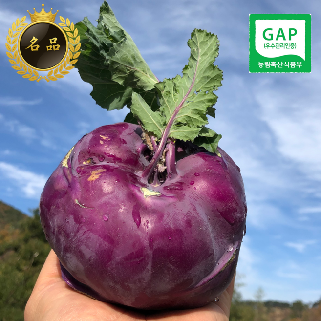 [콜라비] 수분가득 달고시원한 특품 제주콜라비, 1박스, 10kg