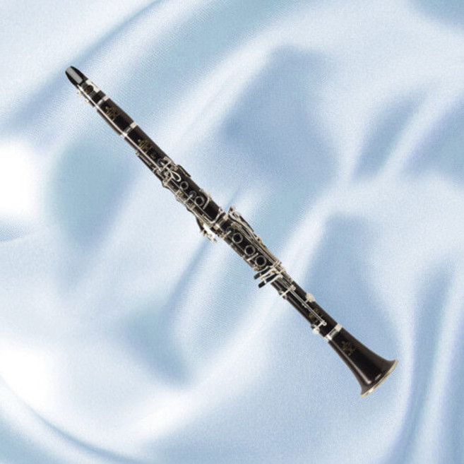 부페 클라리넷 E13K 18키 전문가용 전공자용 고급