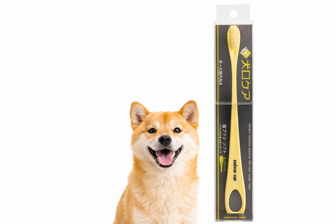 마인드업 켄코케어 강아지 칫솔 소프트 라지헤드 잇몸약한 중대형견용, 강아지용, 1개