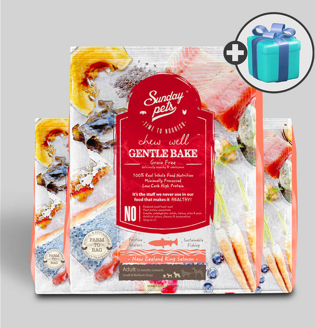 선데이펫 젠틀베이크 오븐베이크 사료 연어 + 국산 가수분해간식 400g, 6.5kg, 1개