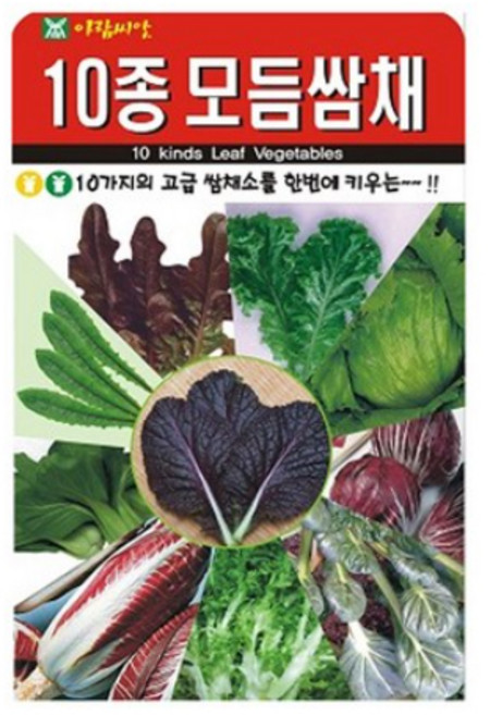 아람종묘 아람10종쌈채 씨앗 1000립, 1개