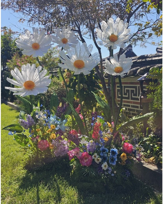 무대장식 무대공간장식 촬영소품 방송촬영세트 유퀴즈온더블럭 지디편 방송소품 자이언트 데이지꽃