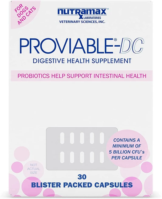 뉴트라맥스 프로바이어블 강아지 유산균 고양이 유산균 Proviable-DC 30캡슐, 30정, 장건강/유산균, 1개 - 쿠팡