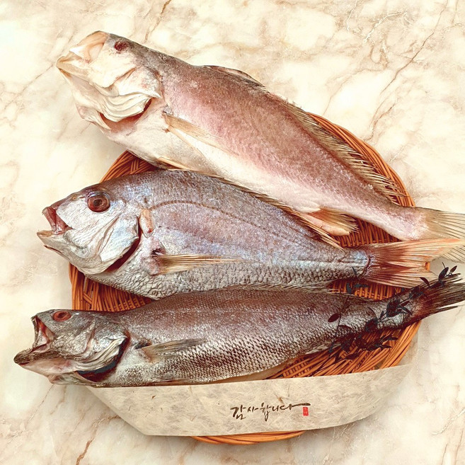 부산 반건조 생선 제수용 세트 침조기 돔 참민어 3종, 1세트, 중 침조기세트