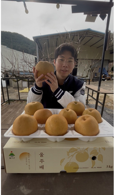 명품 울주배 선물세트 제수용 가정용, 22개, 특 10kg 20과+2