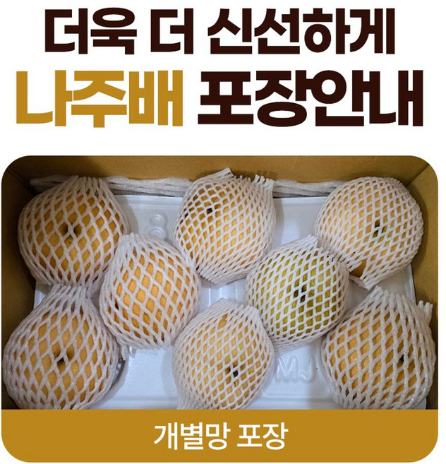 가정용 나주배 5kg (11-15과), 1개, 단일