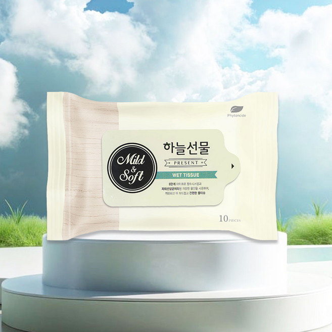 티엔비 하늘선물 미니 물티슈, 35g, 10개입, 30개