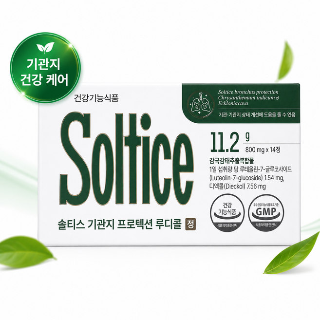 솔티스 기관지 프로텍션 루디콜 800mg 14정 1박스, 솔티스 기관지 프로텍션 루디콜 800mg x 14정 1
