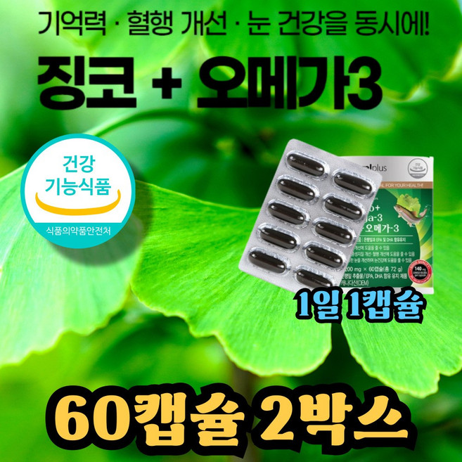플라보놀 은행잎추출물 눈건강 징코 omega3 ginkgo, 2박스, 60정