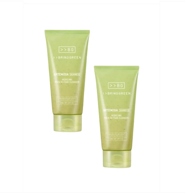 브링그린 사철쑥 카밍 EX 모델링팩 클렌징 폼 120ml 1+1 2개세트, 1세트 - 쿠팡