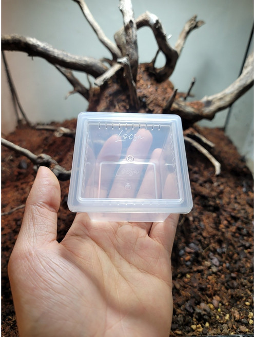 [Locsa] 해치하우스 ( 도마뱀 파충류 알통 부화통 인큐베이터 ), 1개