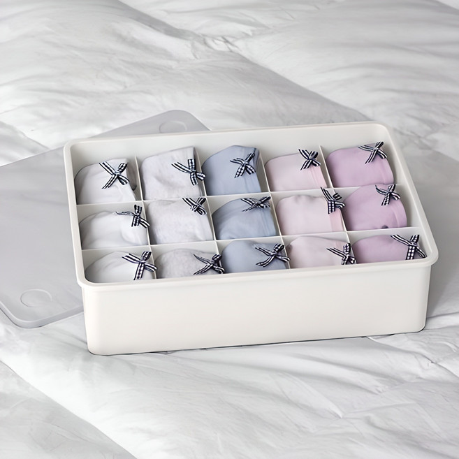 이즈리빙 칸칸칸 속옷 정리함 15칸, 아이보리 + 반투명뚜껑, 1개