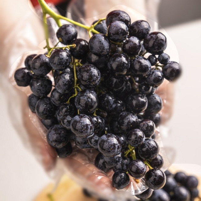 [20브릭스] 농산애 프리미엄 씨없는 블랙 세이블 포도, 1박스, 1kg