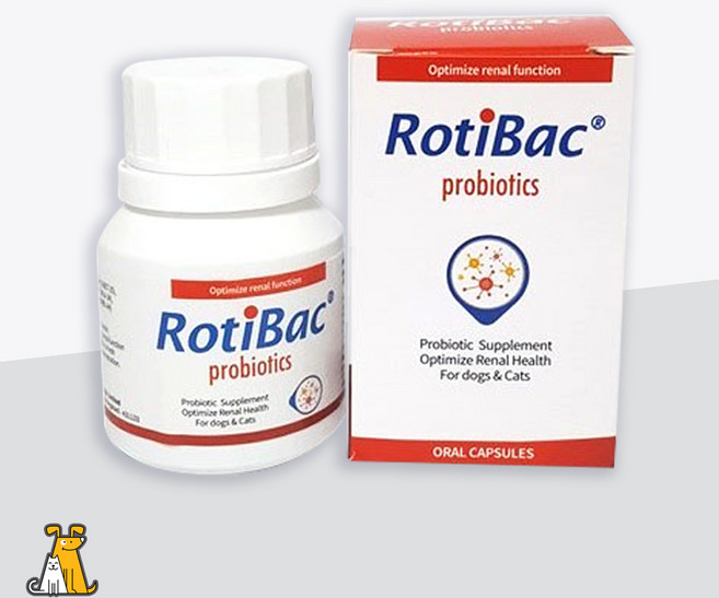 로티백 90캡슐 강아지고양이 신장영양제 신부전, 1개